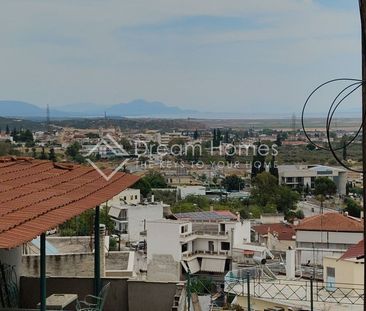 Μονοκατοικία για ενοικίαση Αφανός - Νταμάρια (Λαμία) - Photo 5