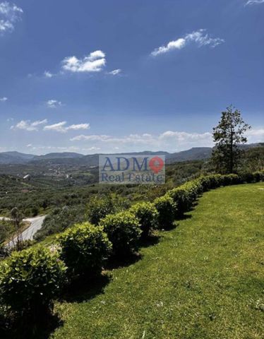 Βίλα για ενοικίαση Άγιος Μύρωνας (Γοργολαϊνη) - Photo 3