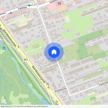 ul. Wał Miedzeszyński, Las, Wawer, Warszawa, mazowieckie