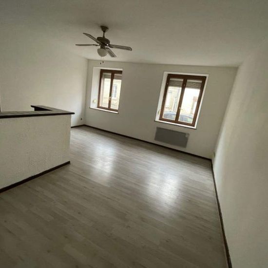 LUNEVILLE (54300) - Appartement - Photo 1