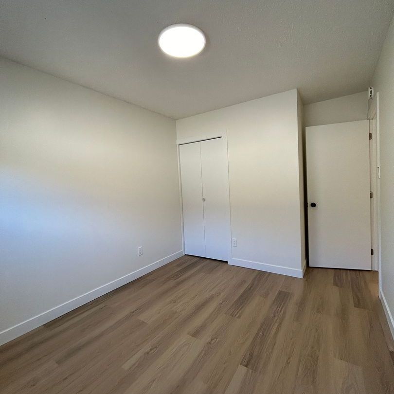 3 Bedroom Upper Unit in Mayfair - Photo 1