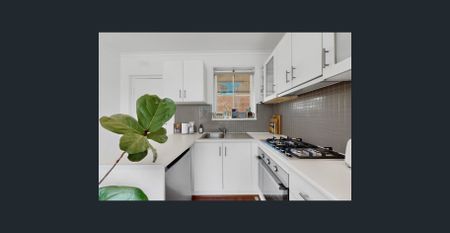 PERFECTLY POSITIONED NEXT TO BOTANIC GARDENS - Photo 3