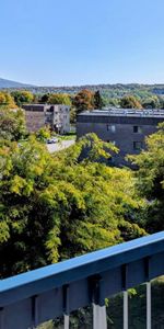 4-1/2 clientèle 50 ans et + tranquille, belle vue. - Photo 4