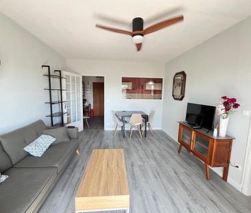 Location Appartement 2 pièces 49m² ALBI 81000 - Photo 1