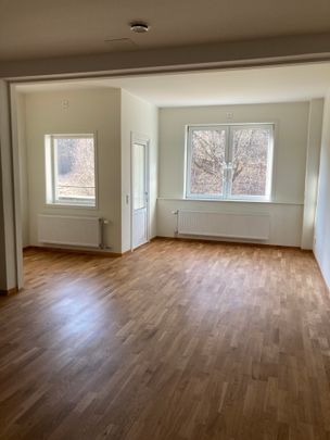 Danska Vägen 64 - Photo 1