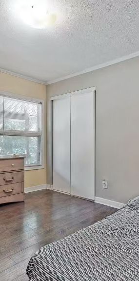 For Lease - 309 Bowman Street, Hamilton, Ontario - Photo 1