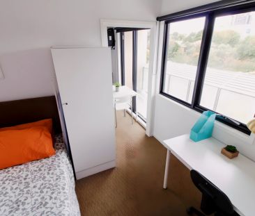 Standard 1 Bedroom style 2 - Photo 2