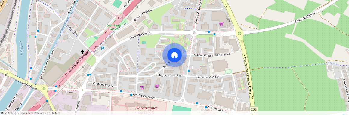 Rue de la Pelouse, 1950 Sion