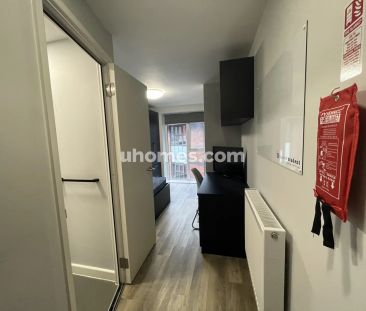 Premium Studio - Photo 4