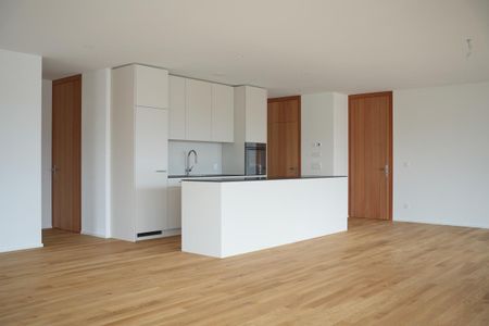 Traumhafte 4½-Zimmerwohnung mit 86 m² Terrasse – wohnen in Attikapur - Photo 5