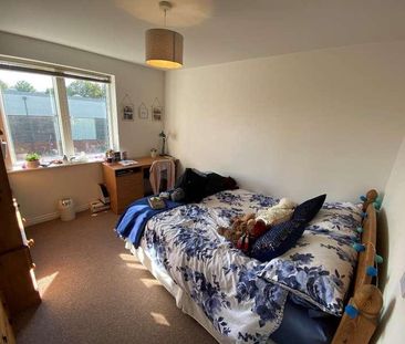 Richmond Court, Exeter, EX4 - Photo 5