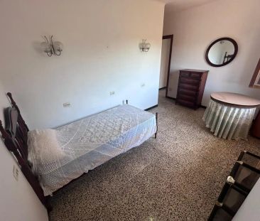 Marratxí - Photo 2
