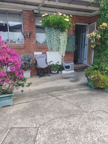 Hurlstone Park - Photo 5