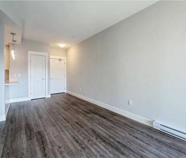 1 Bed 1 Bath - pinnacle of urban living - Photo 3