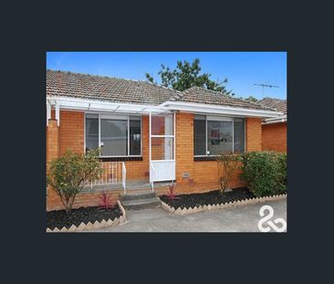 GET IN LINE FOR PINE! - Photo 2