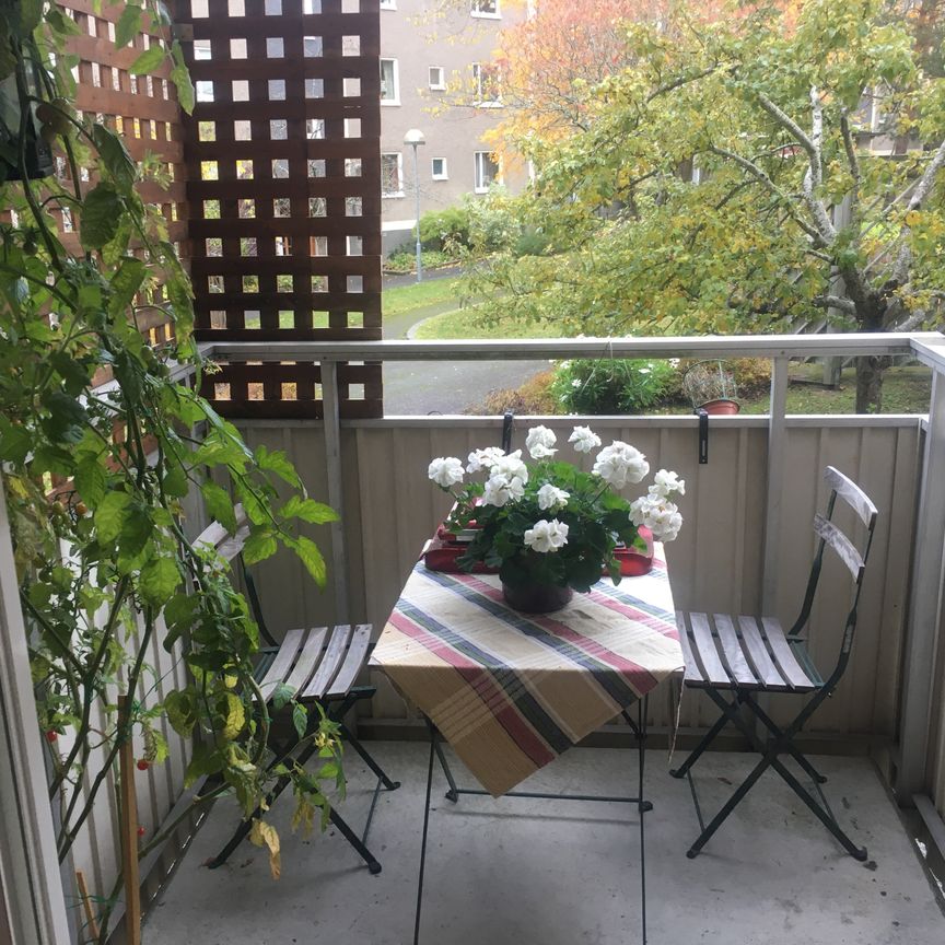 Ibsengatan, Bromma - Photo 1