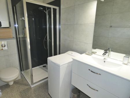 Location Appartement 1 pièce 26m² AIX LES BAINS 73100 - Photo 5