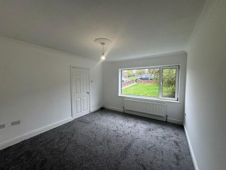 3 bedroom House To Let - Photo 5
