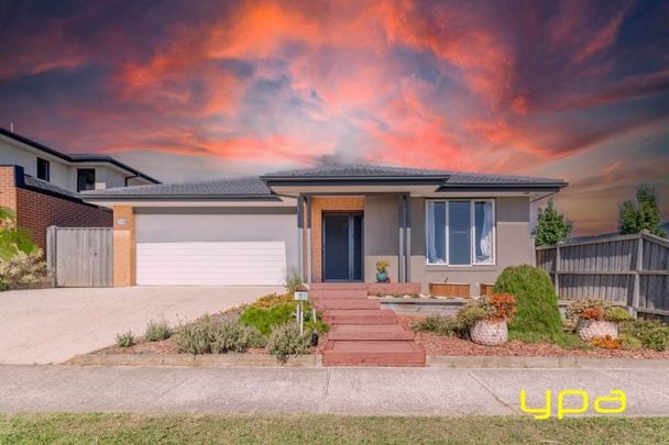 Affordable Family Living in Cranbourne West with Study - Photo 1