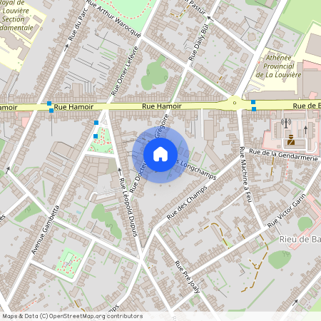 Rue Sars Longchamps, 1, 4, 7100, La Louvière