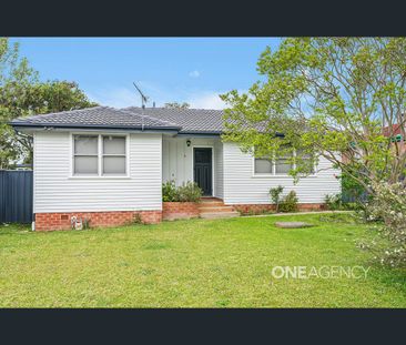 17 Coconut Drive, North Nowra, NSW 2541 - Photo 4