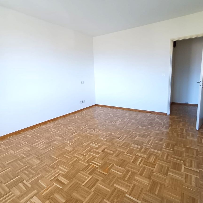 MINUSIO – 2.5 LOCALI VISTA LAGO - Foto 1