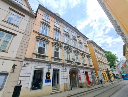 Zentrale INNENSTADTLAGE: Single-HIT im Zentrum - Sackstraße 24 - Top 12 - Photo 4