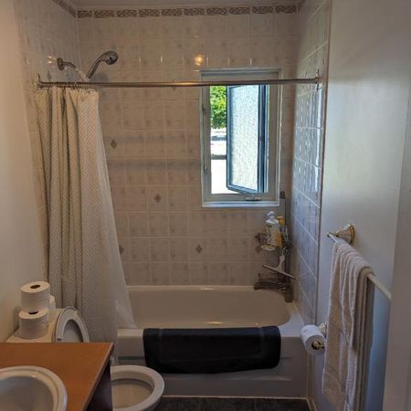 Appartement à louer / apartment for rent - Photo 4