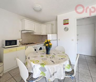 Location Appartement 2 pièces Meublé 31m² FREJUS 83600 - Photo 1