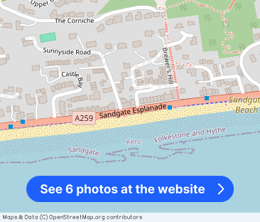 The Esplanade, Sandgate, Folkestone, Kent, CT20 3DY - Photo 1