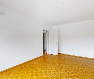 Luminoso 2.5 locali in zona centrale e tranquilla - Foto 2