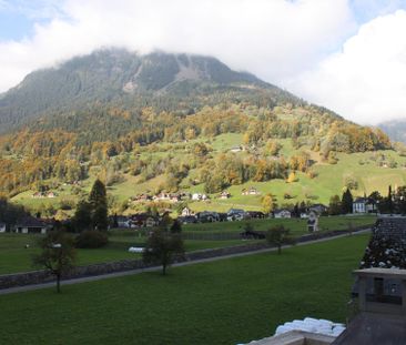 Herrlicher Blick in die Glarner Bergwelt inklusive - Foto 5