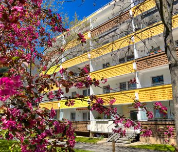 Salutstraße 19 - Photo 4