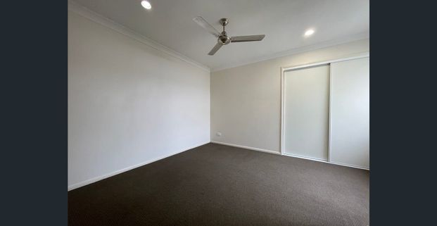 Take advantage of the walking tracks at your back door and nearby beaches! - Photo 1