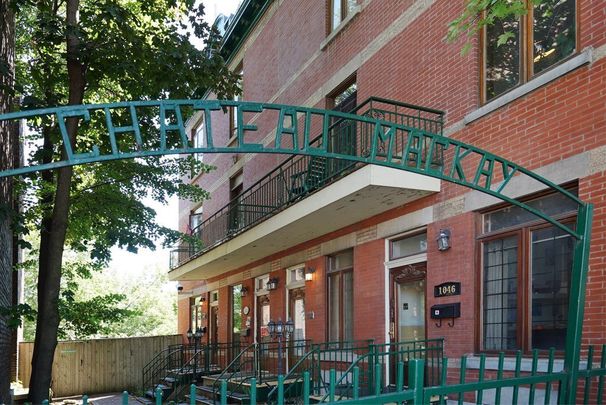 Appartement à louer, Montréal (Ville-Marie) - Photo 1