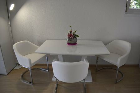 1,5-room furnished apartment in 8108 Dällikon, Zurich - incl NBK - Photo 4