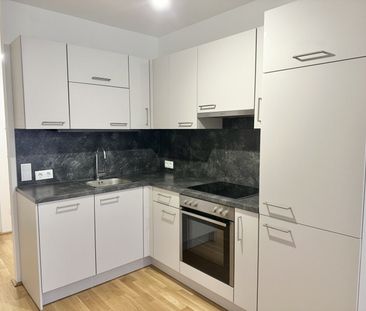 Moderne 2 Zi Wohnung mit Balkon - nahe U1 - Photo 5