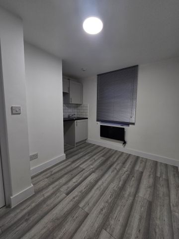 Studio Flat, Burlington Gardens, W3 - Photo 4