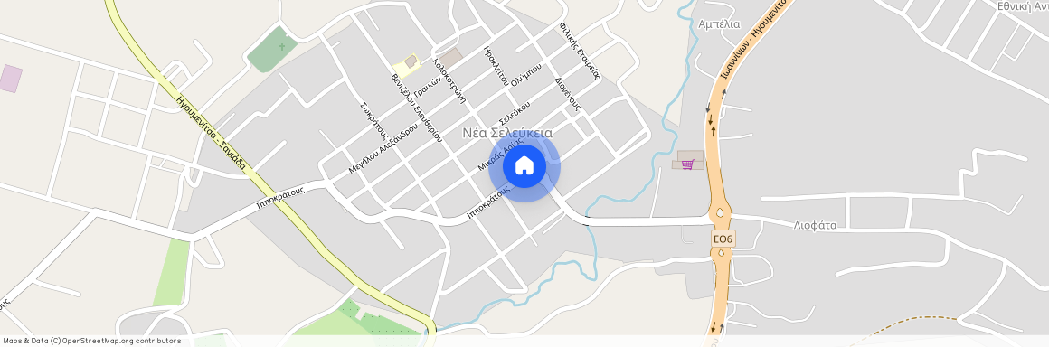 Νέα Σελεύκεια (Ηγουμενίτσα)