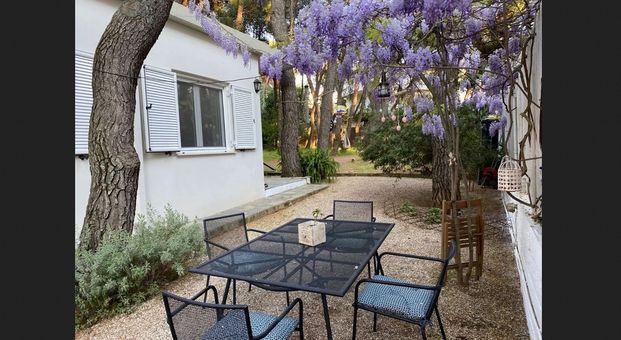 Μονοκατοικία για ενοικίαση Νέα Κηφισιά (Κηφισιά) - Φωτογραφία 1
