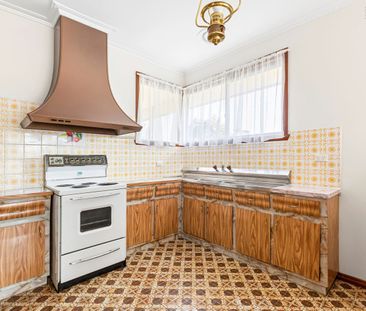 Comfortable Family Living in the Sought After Suburb of Hamlyn Heights - Photo 3