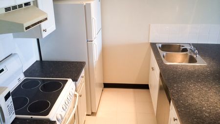 1 Br Condo In Downtown W City & River Views/ Heat & Water Incl. - Photo 4