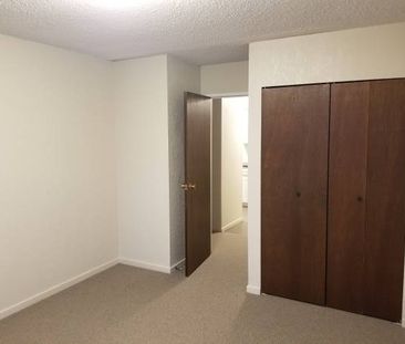 1BR apartment - Photo 2