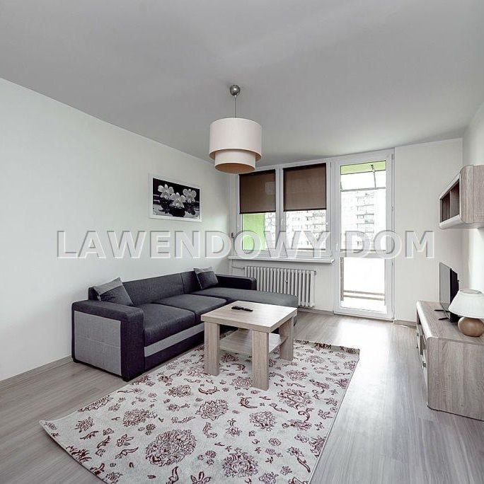 Mieszkanie Tychy H powierzchnia 35.3 m² C275-WM-12522 - Photo 1