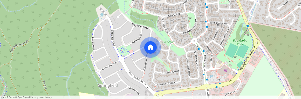 6 Eucalyptus Cct, Qld 4300, Springfield