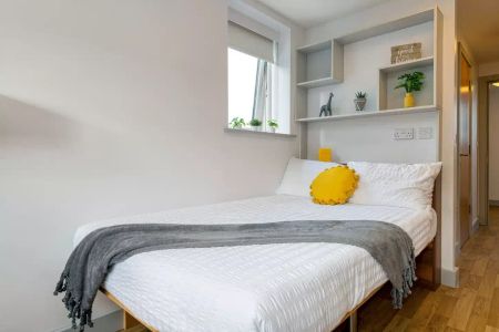 Standard Two Dio - Photo 2