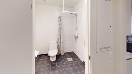 Drottninggatan, Trollhättan - Foto 5