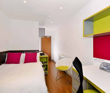 Studio Bronze Plus - Photo 6