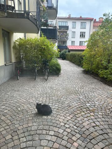 Mellangatan, Göteborg - Foto 2