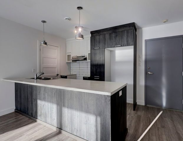 À louer / Appartement - Photo 1